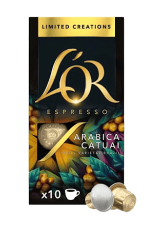 10ccapsule arabica catuai 495x692
