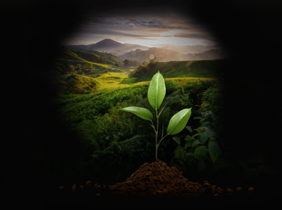 hero chapter chapter04