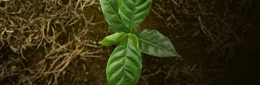 banner recycling 2025